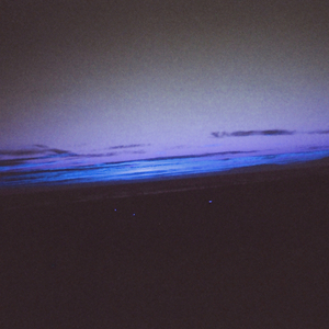 美女在网上玩繁殖l
